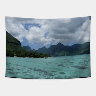 Wanna go for a swim?! Tapestry