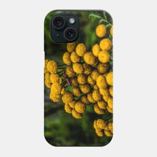 Colourful flower. Phone Case