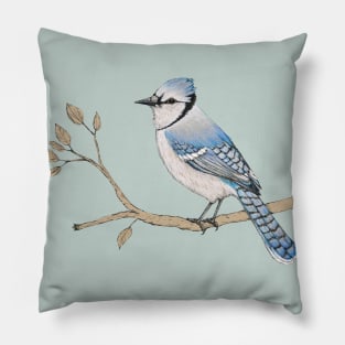 Blue jay Pillow