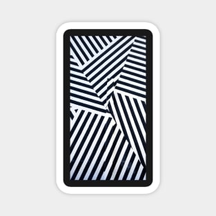 Zebra stripes Magnet