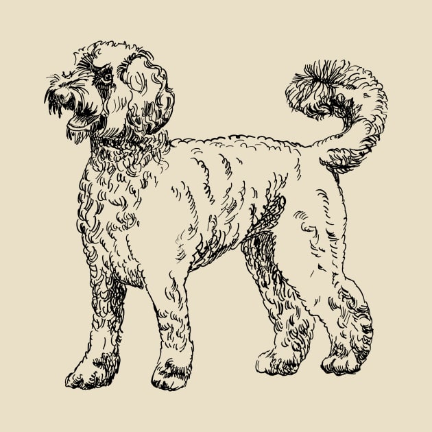 labradoodle portrait by VicaVeresk