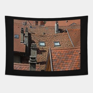 Roof Abstract Tapestry