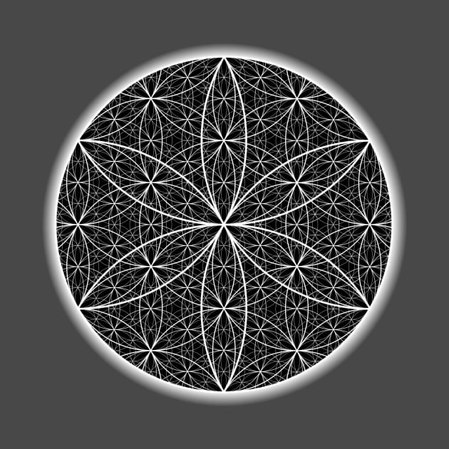 Dimensional Flower of Life 2 - On the Back of by ShineYourLight