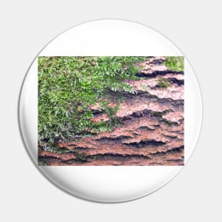 Moss and Wood Texture Pin