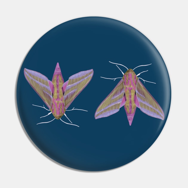 Pink Moths Pin by artsandherbs