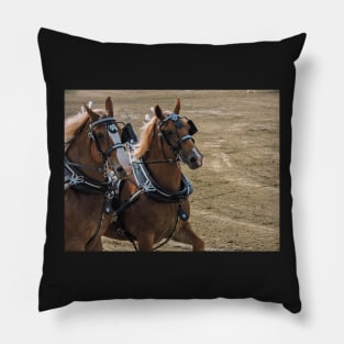 Horse show Pillow