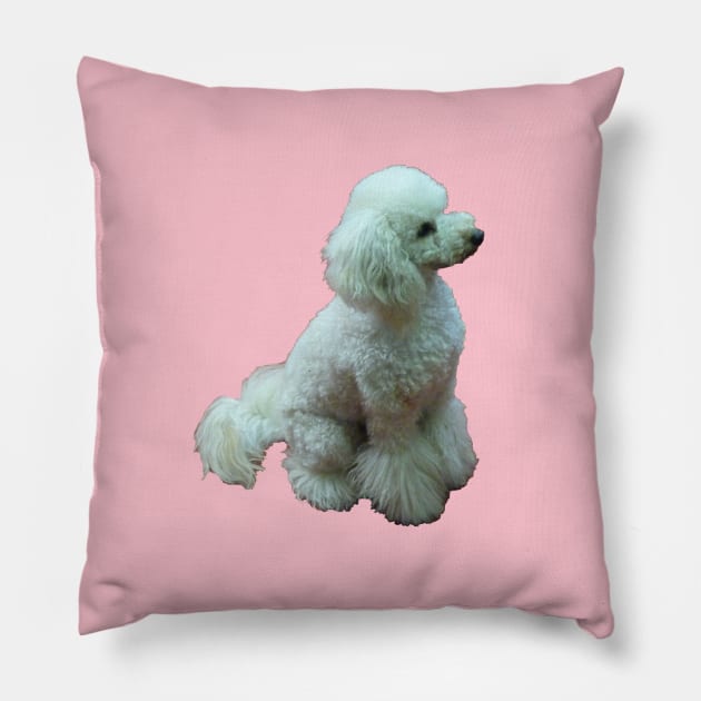 Apricot The Poodle Pillow by Sunshinesmiles