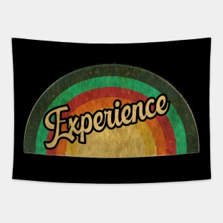 experience Tapestry