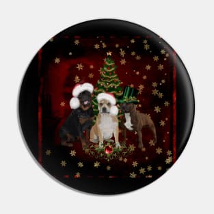 Christmas time, funny Staffordshire Bull Terrier and Rottweiler with christmas hat Pin