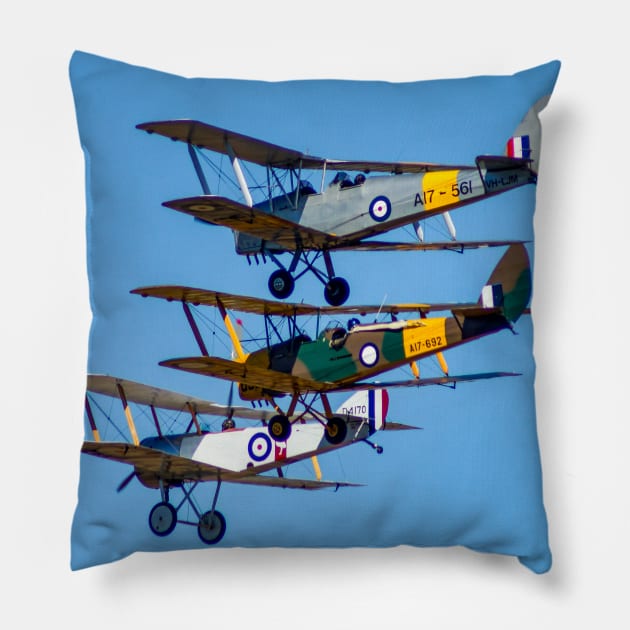 Tiger Moths Pillow by Upbeat Traveler