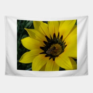 Gazania 12 - Gazania with Bee photograph Tapestry