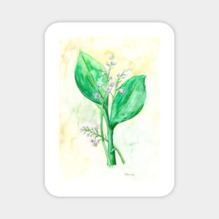 lily of the valley Magnet