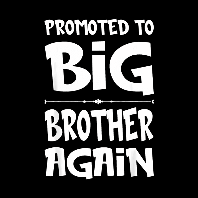 Promoted To Big Brother Again Older Brothers Boys by vulanstore