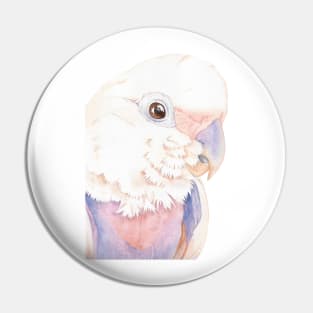 Goffin Tanimbar corella cockatoo watercolor portrait parrot name Buckley V2 Pin