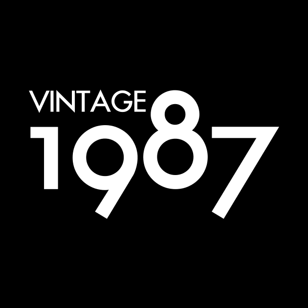 Vintage 1987 Gift 33rd Birthday Party by Damsin