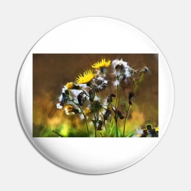 Dandelion Life Cycle with artistic filter Pin by Violaman