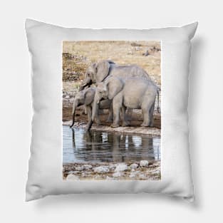 Elephants at the waterhole. Pillow