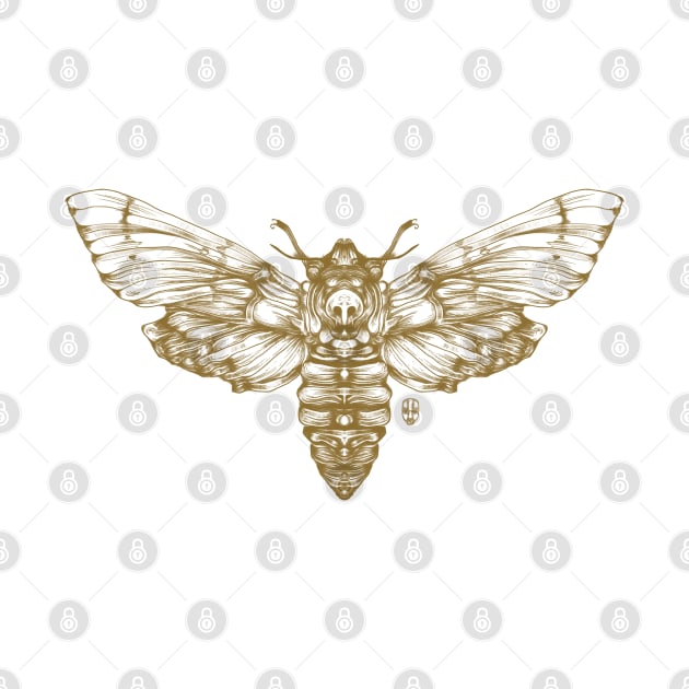 Moth by fakeface