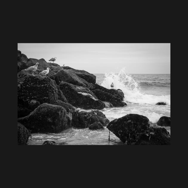 Seagulls and Breaking Waves on Rockaway Beach by wlotus