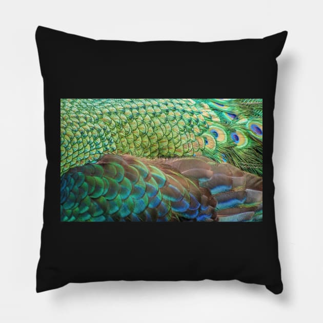 Peacock Feathers Abstract Pillow by TonyNorth