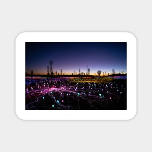 Field of Light Magnet