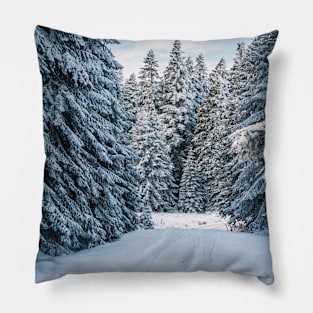 A photo of snow field near trees Pillow