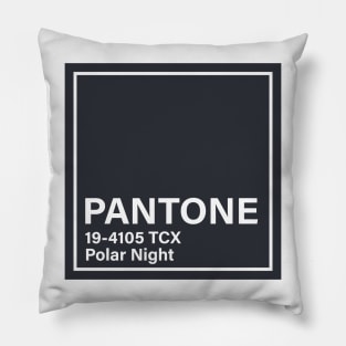 pantone 19-4105 TCX  Polar Night Pillow