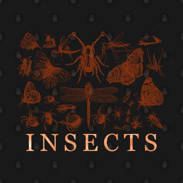 Insects by Heartsake