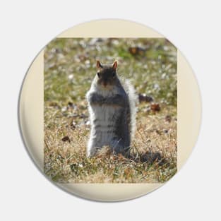 Wildlife gifts, eastern ground squirrel, nature, wild animals Pin