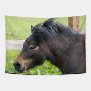 Shetland Pony Tapestry