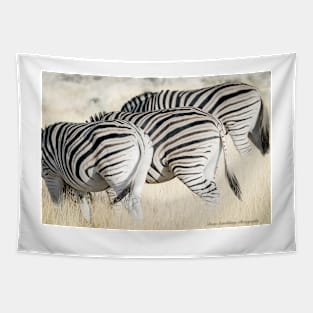 African zebra, back ends three in row Tapestry