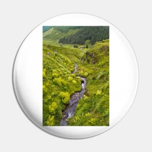 Mountain Stream Pin