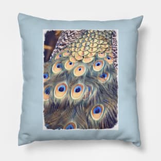 Javan Green Peafowl Pillow