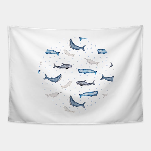 Watercolor Whales humpback, blue, orca, beluga, narwhal Tapestry by Harpleydesign