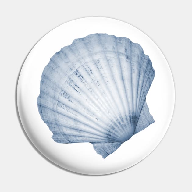 Blue fan seashell Pin by hamptonstyle