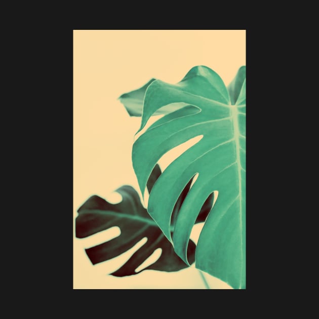 Monstera Minimalist by Debra Cox 