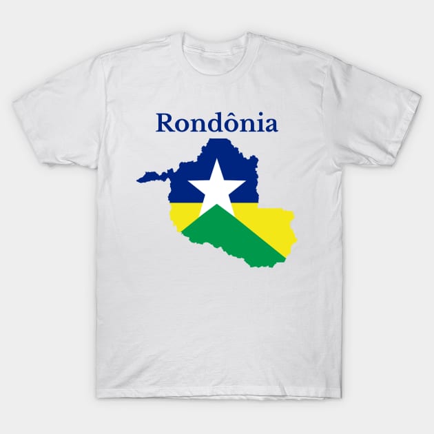 Flag t-shirt of brazil Royalty Free Vector Image