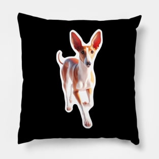 Ibizan Hound Pillow