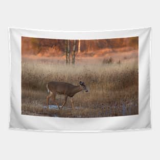 Sunset Wanderer - White-tailed deer Tapestry