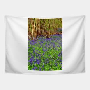 Bluebell Woods Basildon Park Reading UK Tapestry