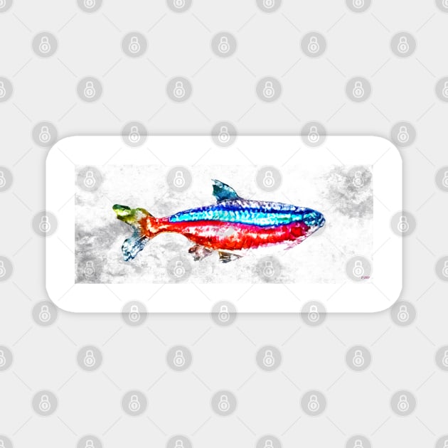 Cardinal Tetra Aquarium Fish Magnet by danieljanda