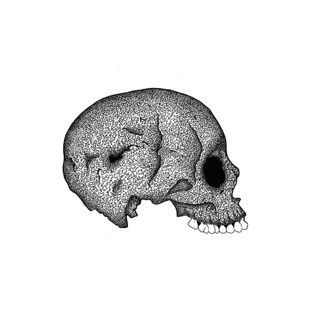 Skull by StudioGrafiikka