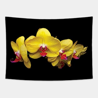 Orchids - Bright Yellow Phalaenopsis Orchids Tapestry