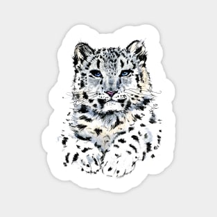 Snow leopard Magnet