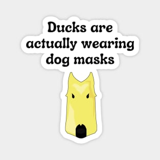 Duck are wearing dog masks Magnet