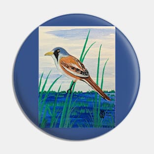 Bearded reedling in the wetlands Pin