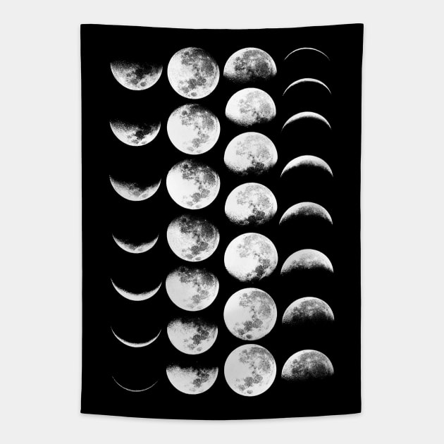 Moon Phases No. 2 Tapestry by wolfandbird