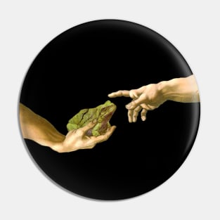 Creation of a Frog, Michelangelo Frog Pin