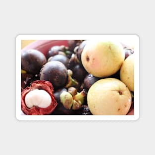 Exotic Fruit Mangosteen up close Magnet