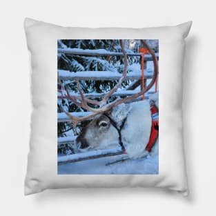 Lapland Pillow